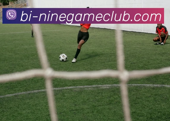 九游官方网站APP 封面图